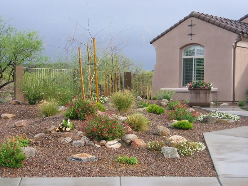 Landscaping in Tucson - Valley Oasis Pools